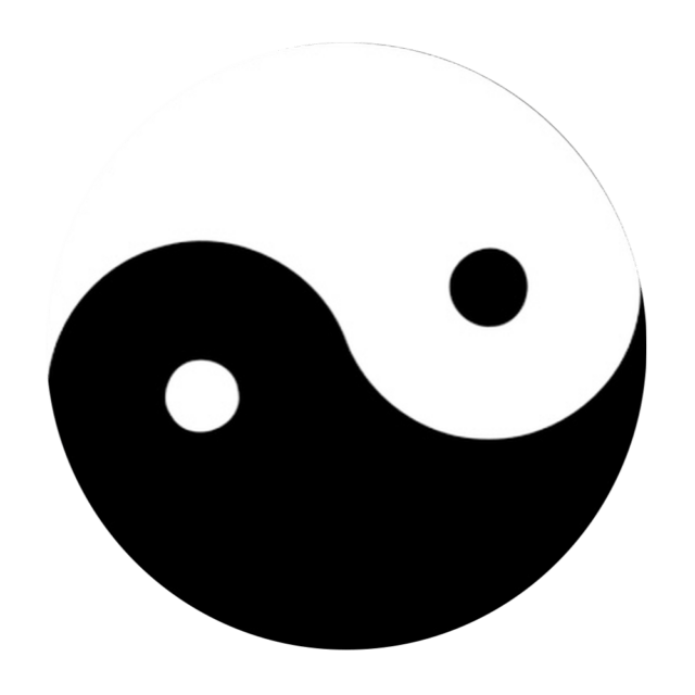 yin~yang, digital icon, by Doc Metastabilian, 2024.